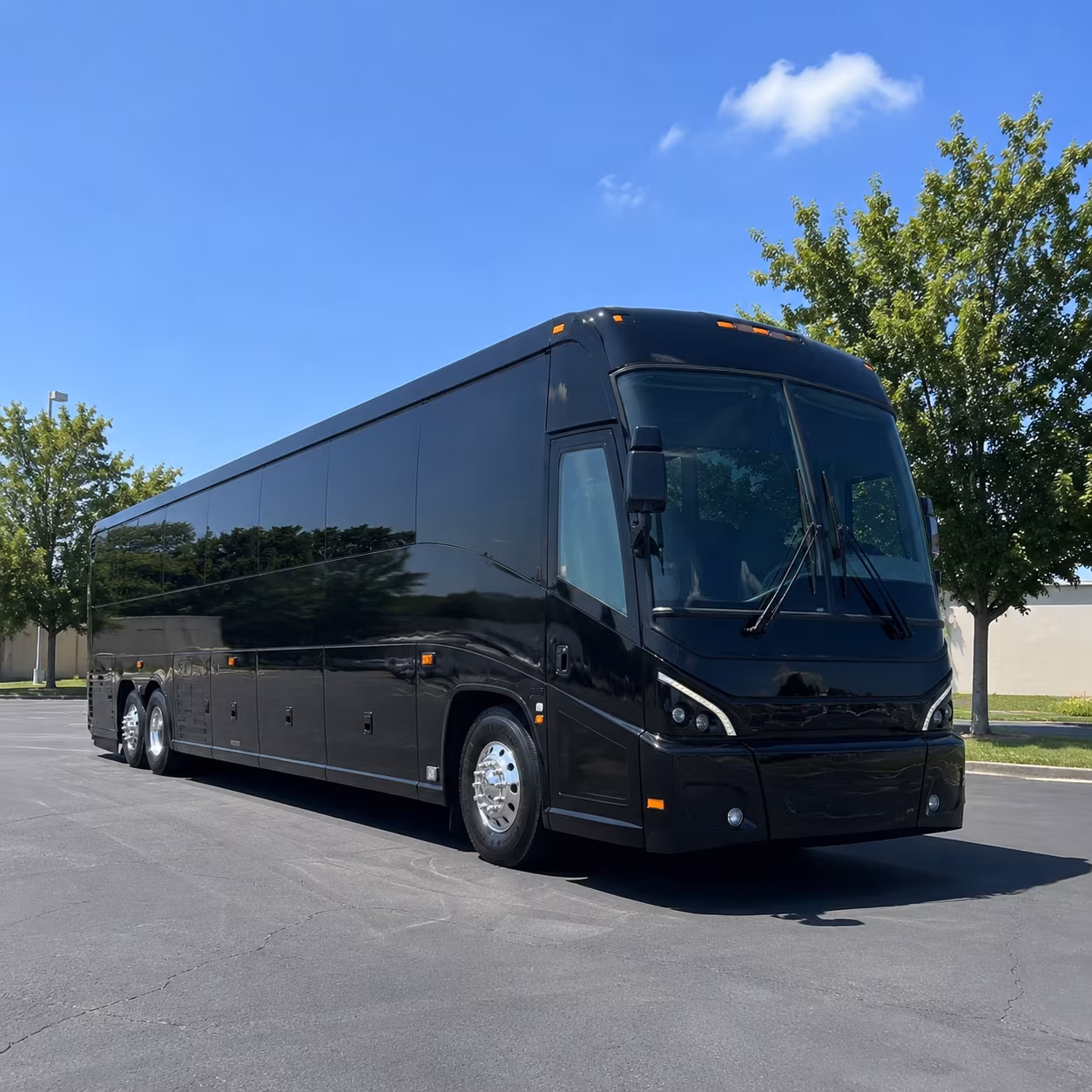 no single company limits your options for anoka county government transportation